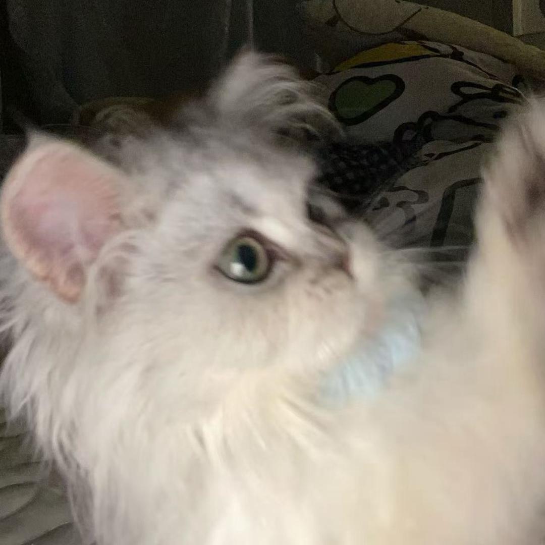 𝗠𝗮𝗸𝗮𝗯𝗮𝗸𝗮