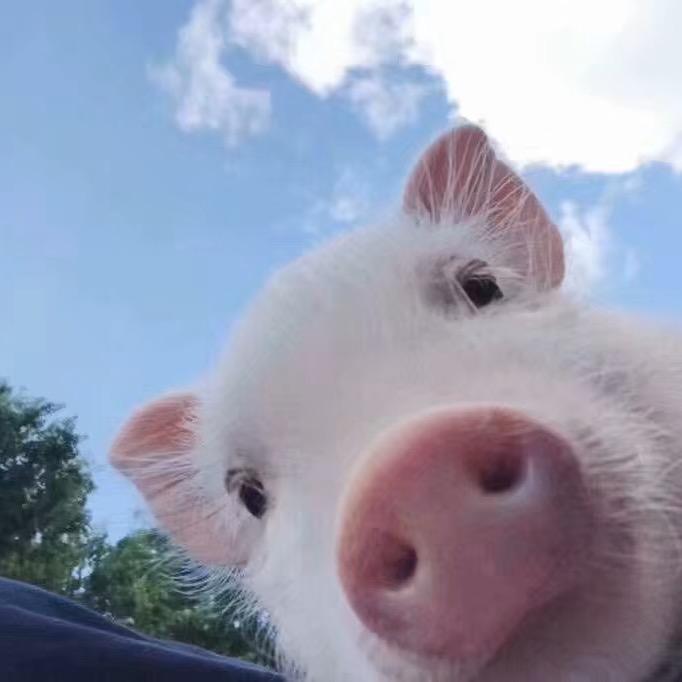 DD千月（三角州行动）