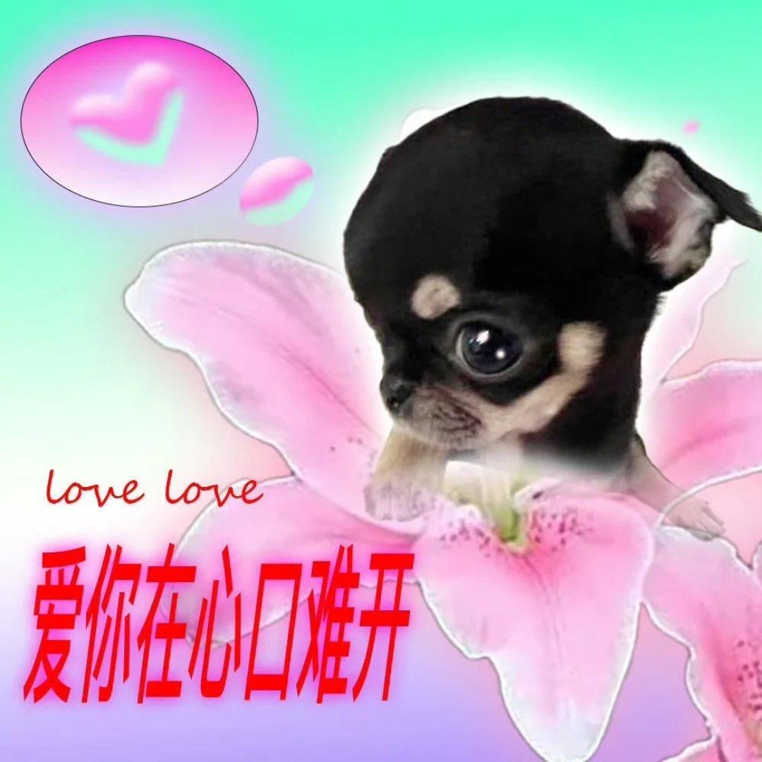 别说话