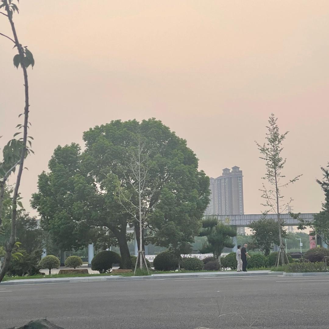 柴木助火