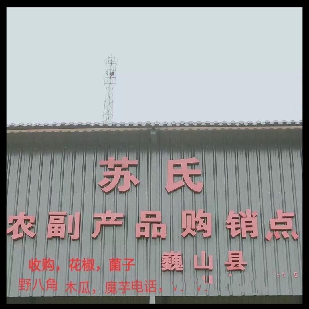 苏羽〈鲜花椒，干花椒〉