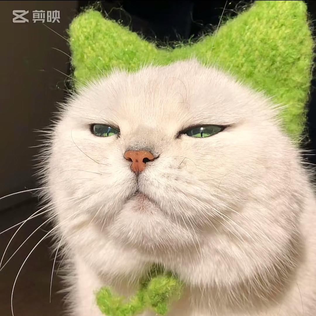 一伊
