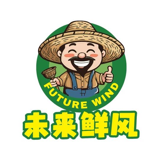 未来鲜风