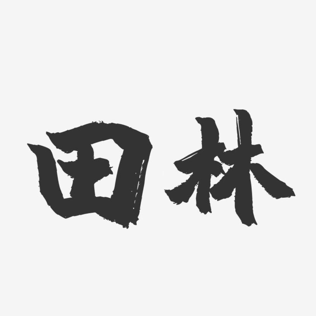 保定恒丰二手皮卡