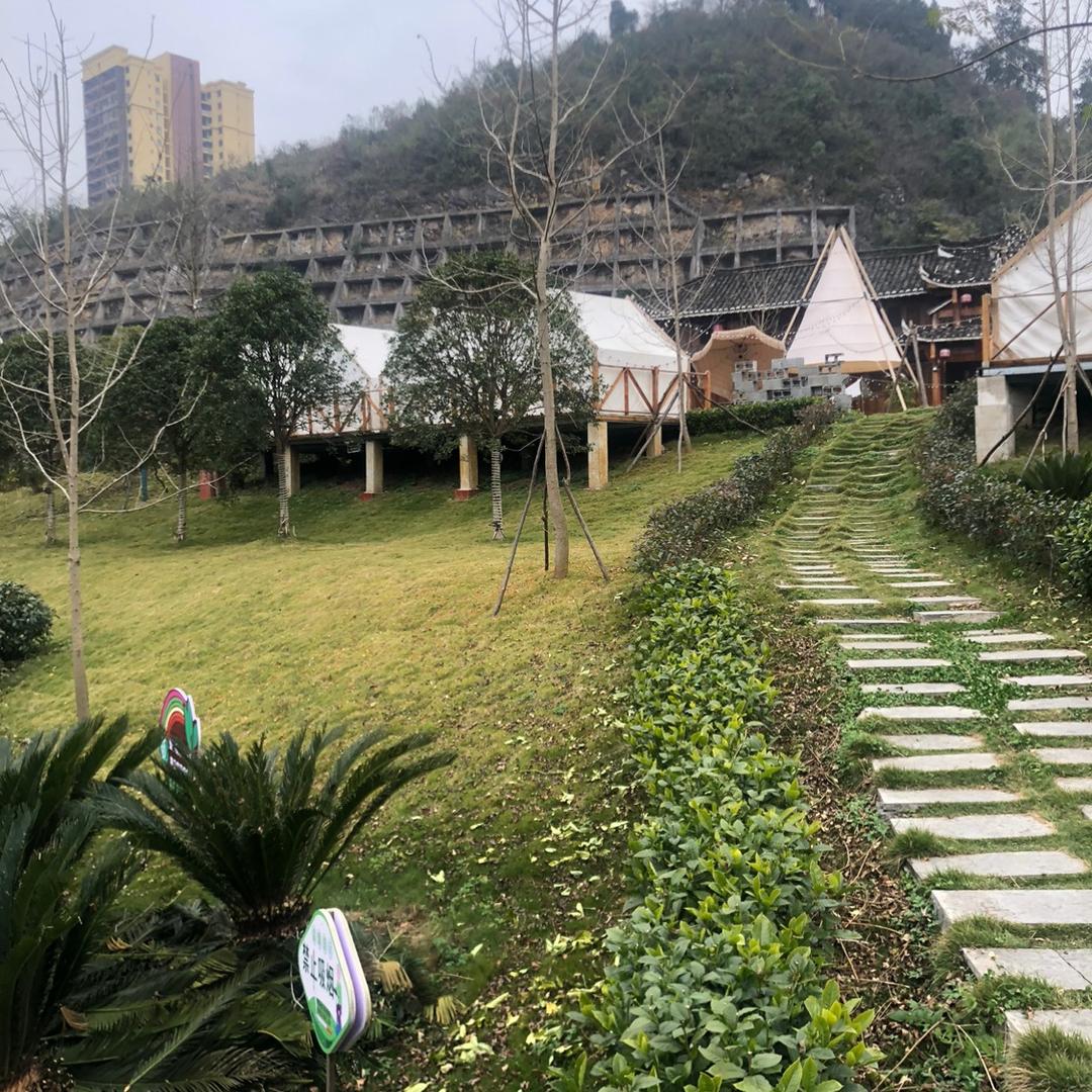 朱天