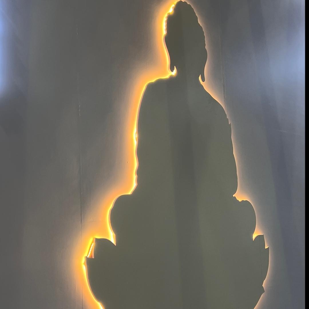 大道的智慧