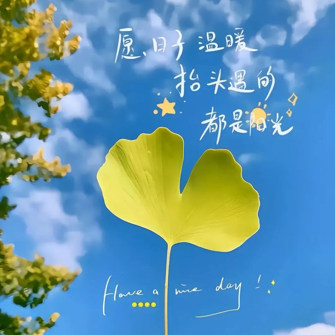 @ღ᭄ꫛ聽説糖很甜ꦿএۣۖิ