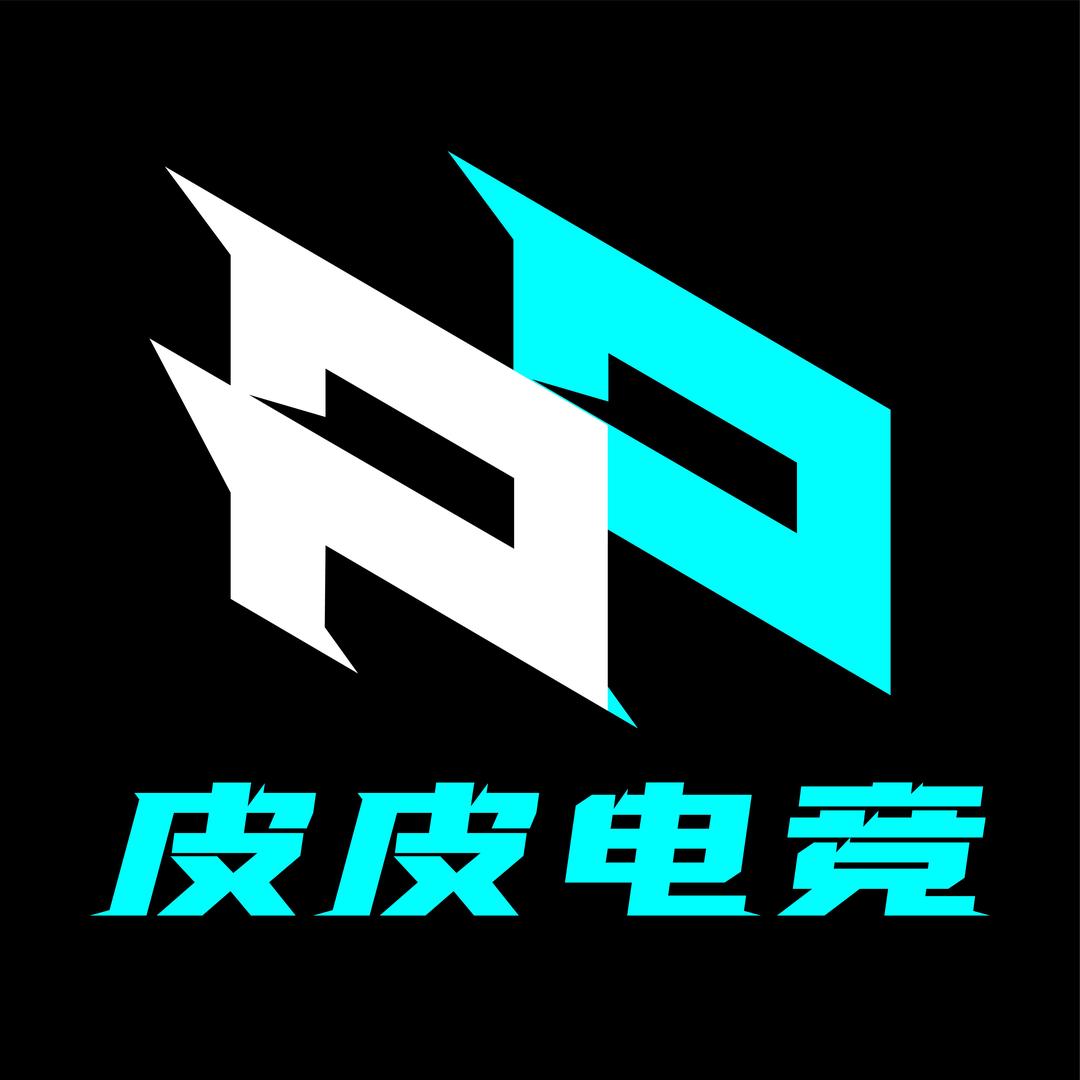 皮皮电竞
