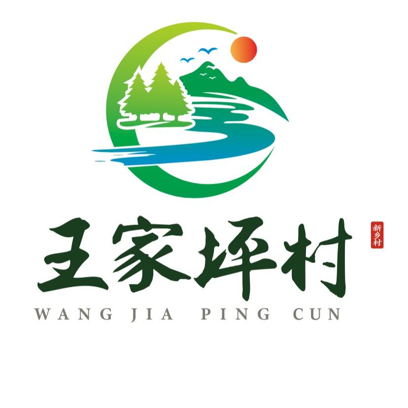 王家坪村邓书记（村光大道）