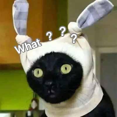 二坨喵呜一根旺