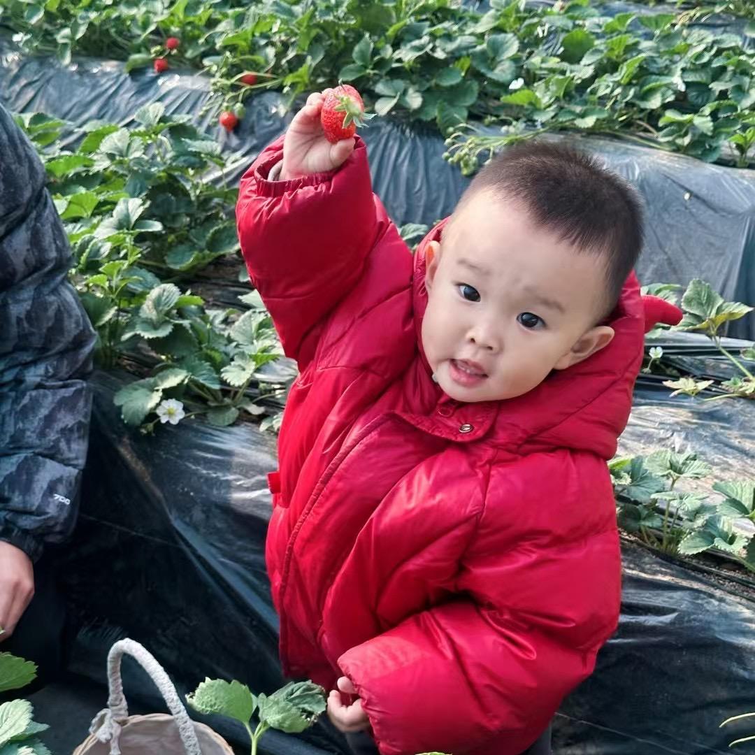 一只小恩恩