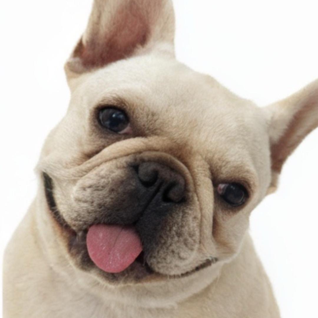 AAA财神爷的心尖宠🌽