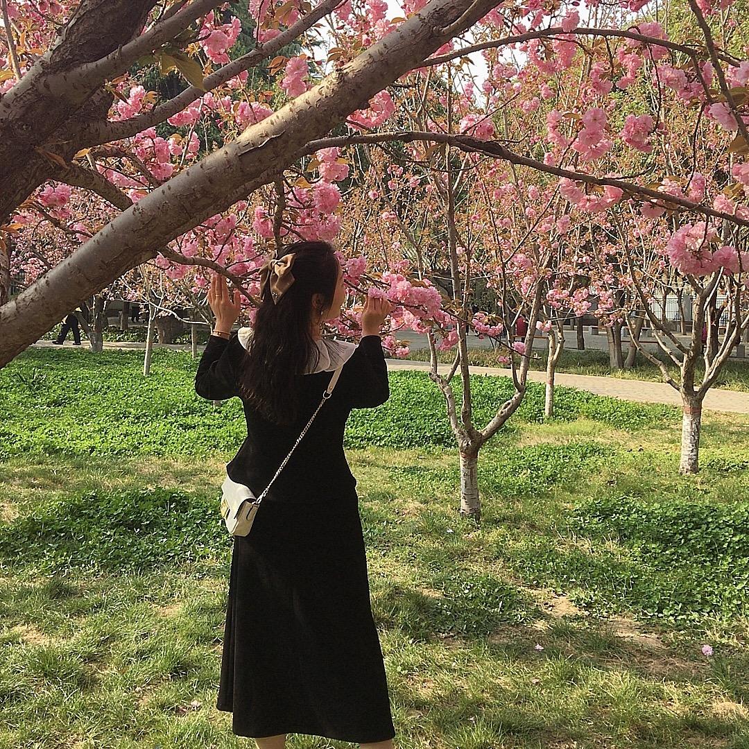 🌹珍惜🌹