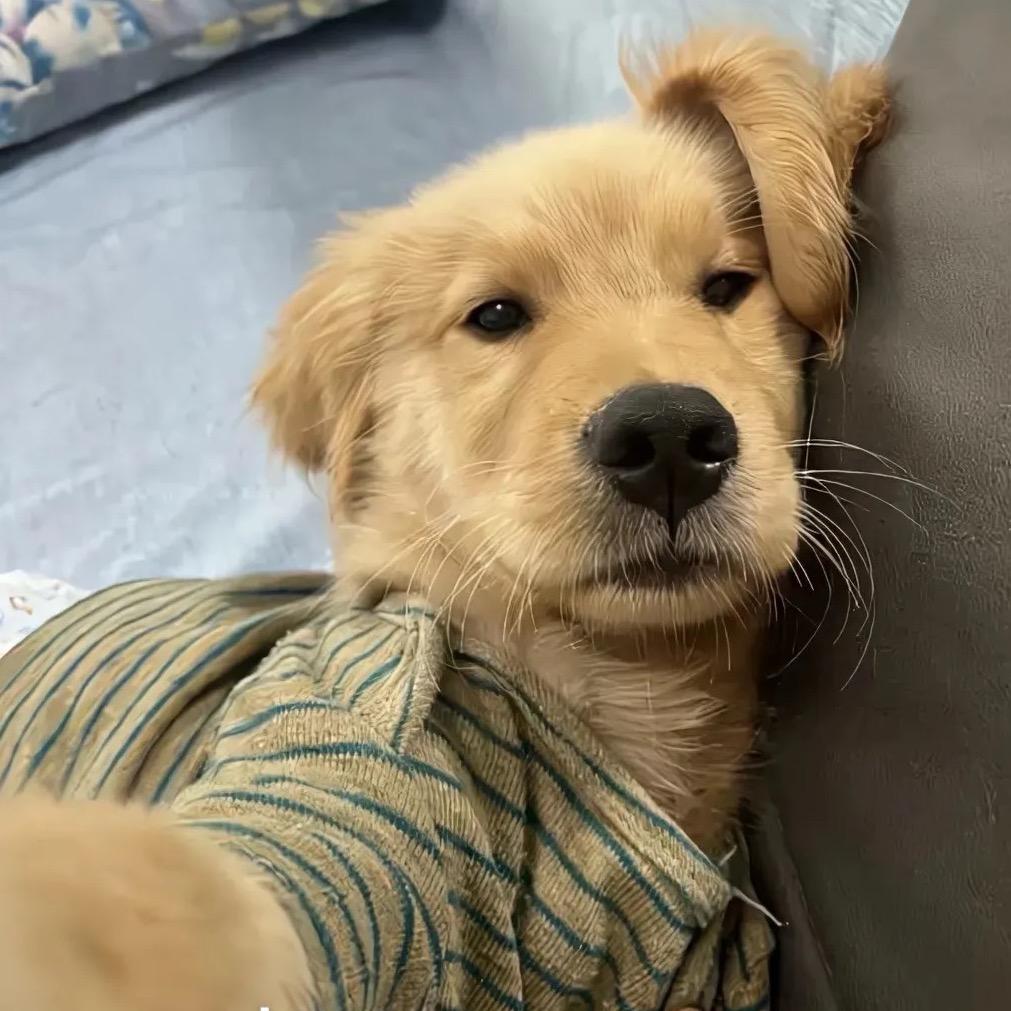 小漁🐝