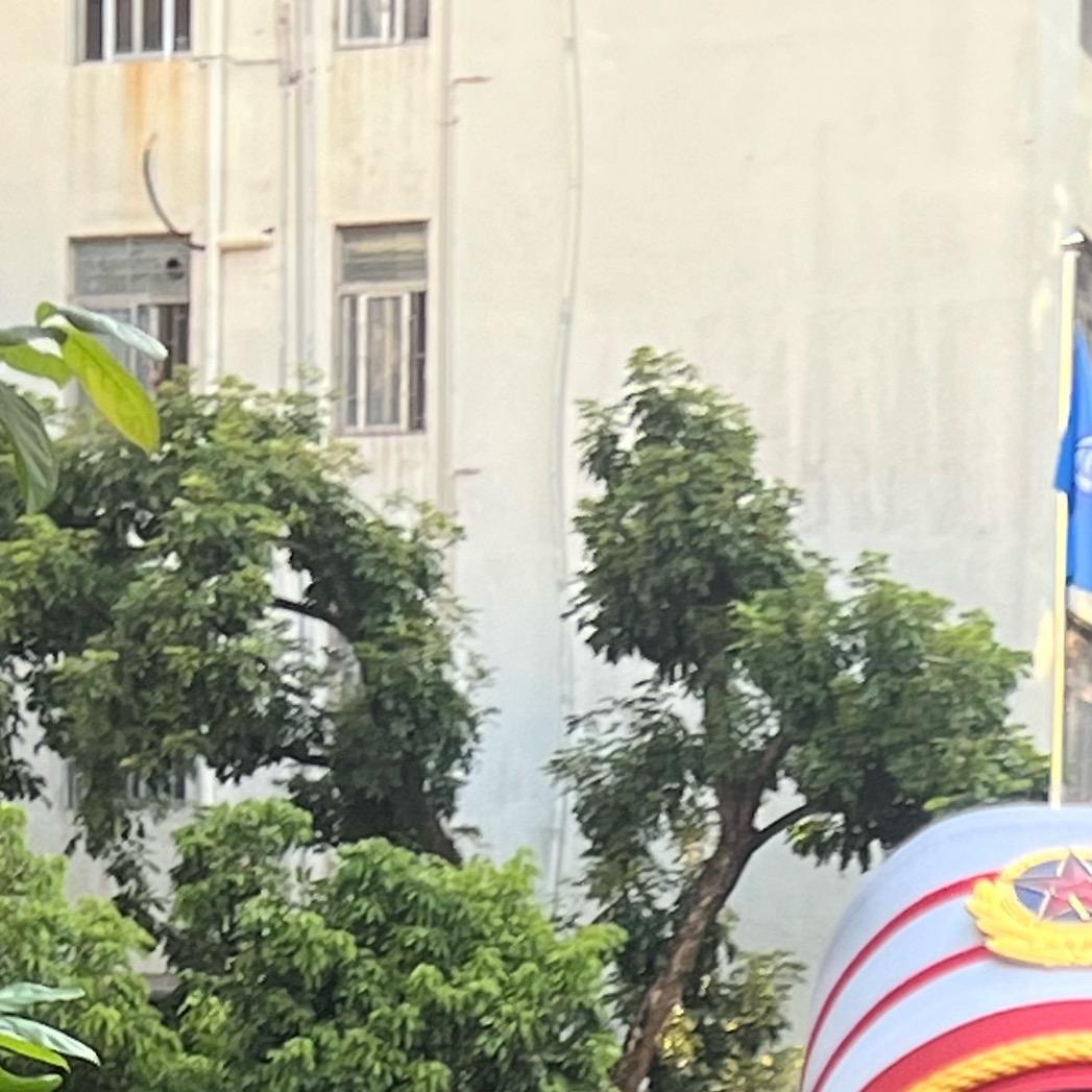 用户qinqin换号中