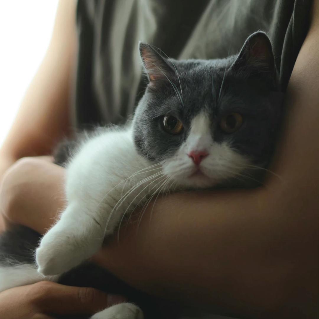 百果