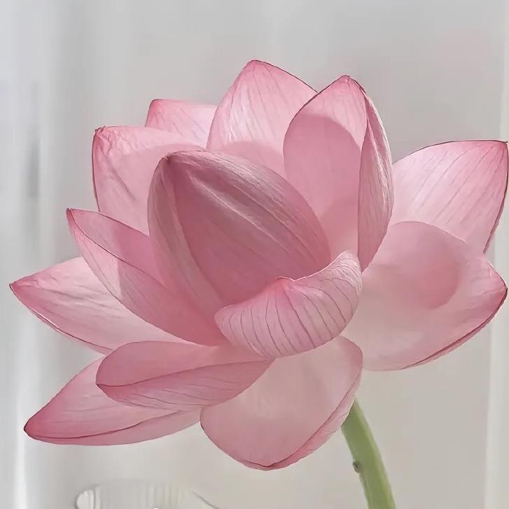 艳东百货