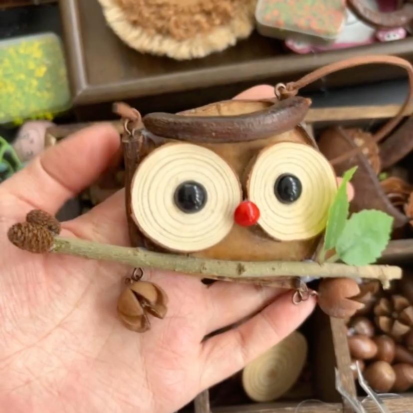 豆荚