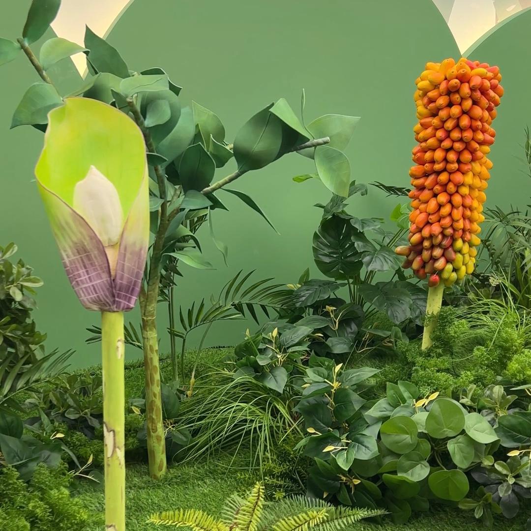 魔芋公主