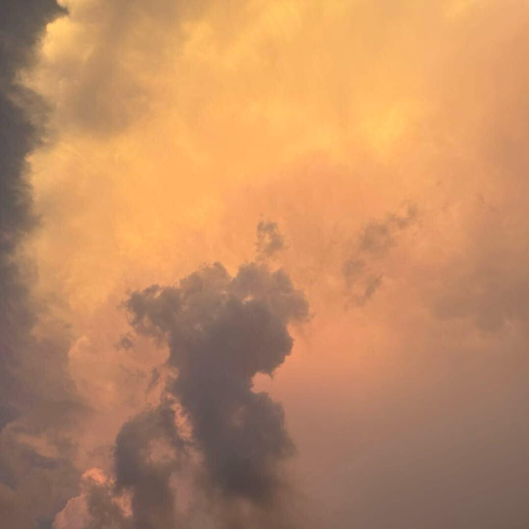 牵着蚊子去逛街