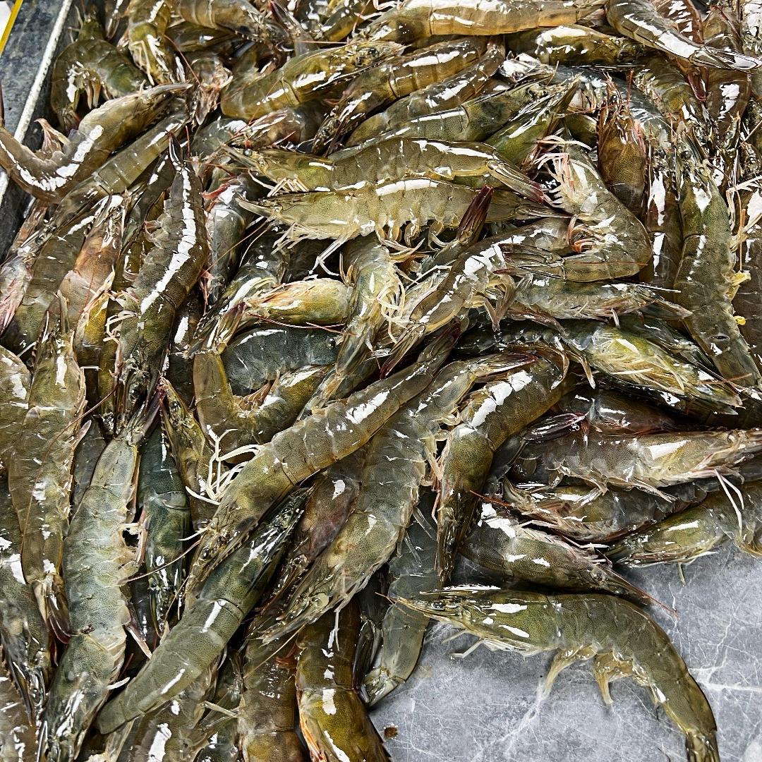 青岛国货海鲜码头