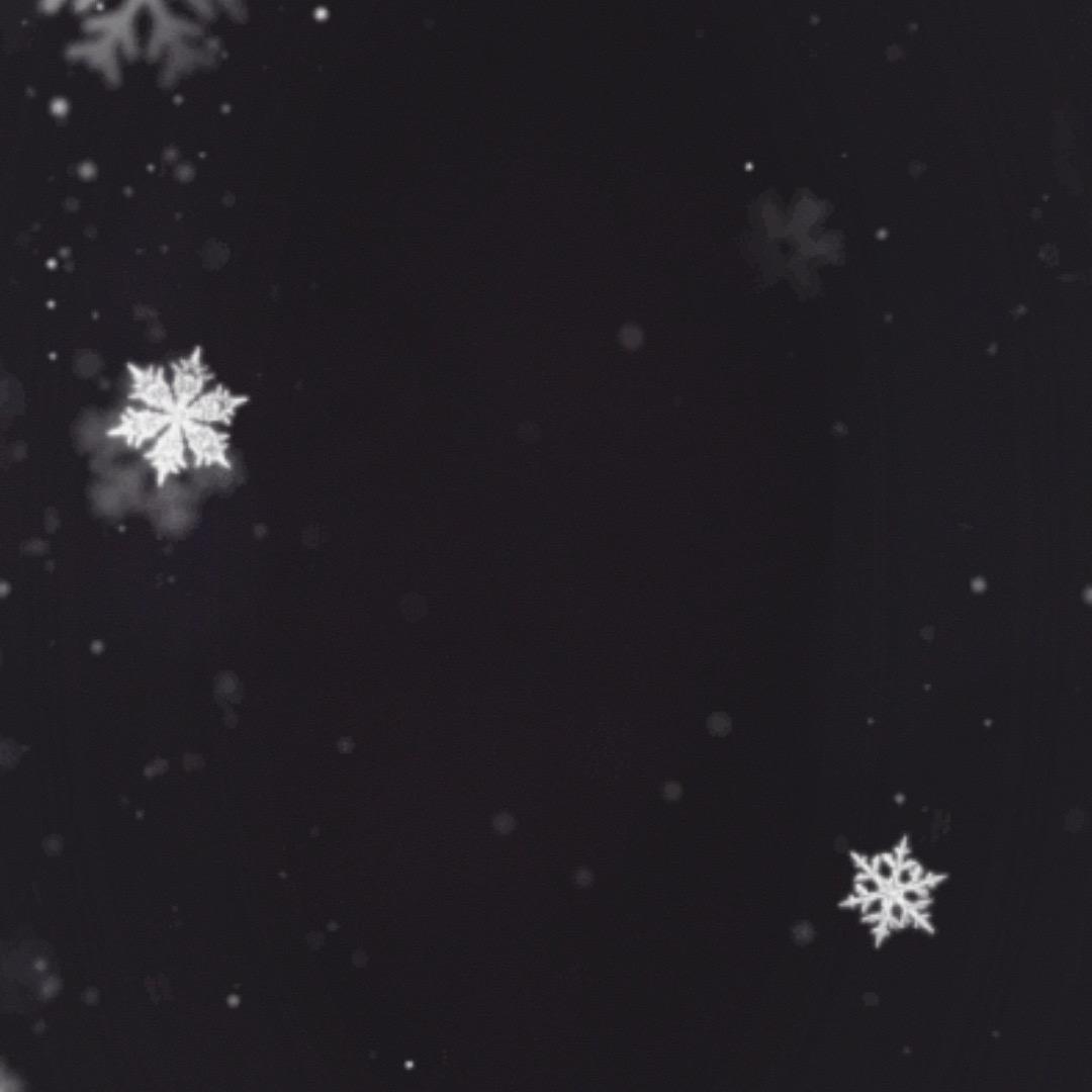 🚬᭄独行ঞৣঁ浪子᭄