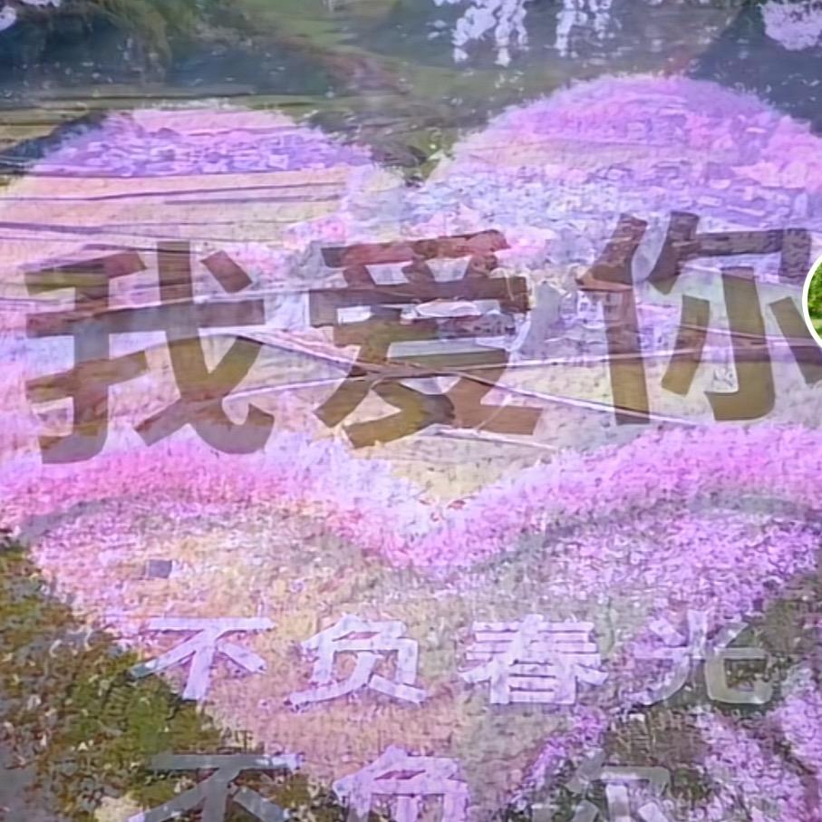 有你真好