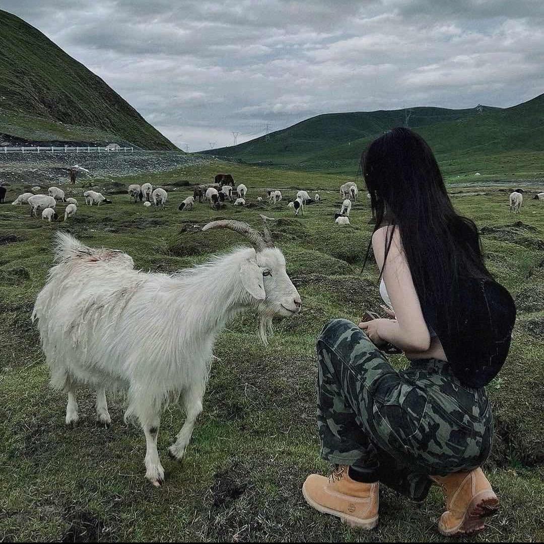 🌈V.晚秋🧸