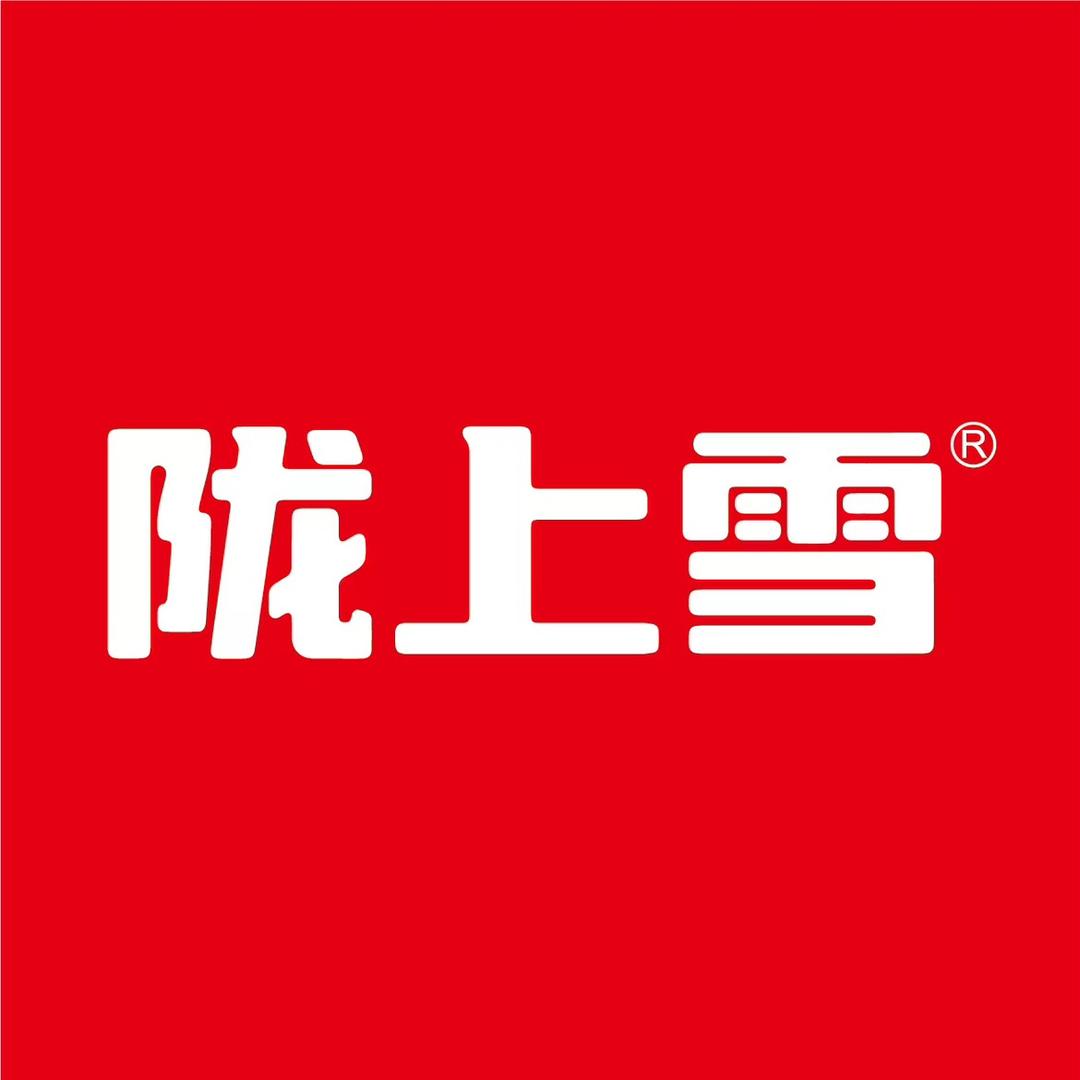 陇上雪方便食品