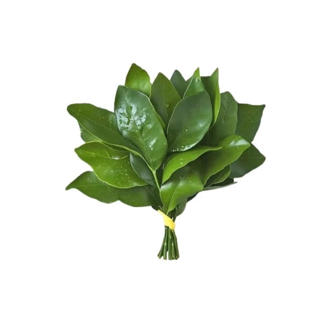 不发脾气只发财🫧