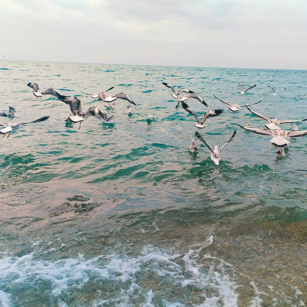 🍗狂奔的蜗牛🐌