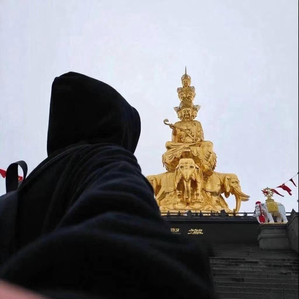 早晚开霍希