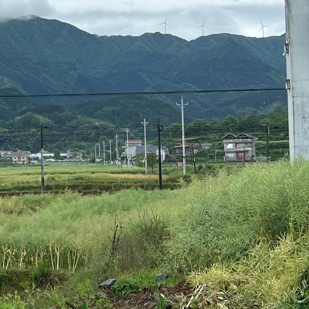 老郭生鲜
