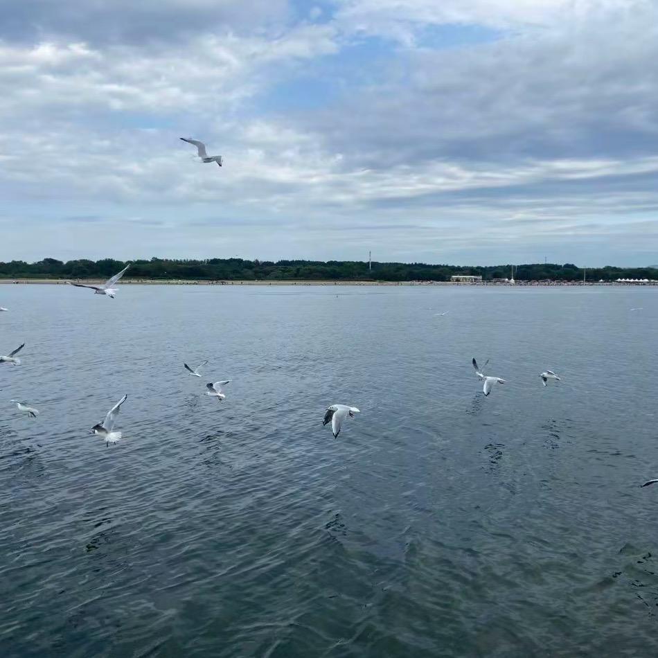 ℳঞᩚ余生꧔ꦿ᭄