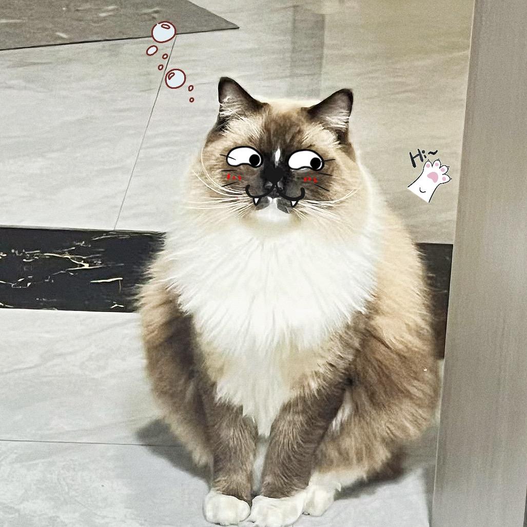 奎哥儿