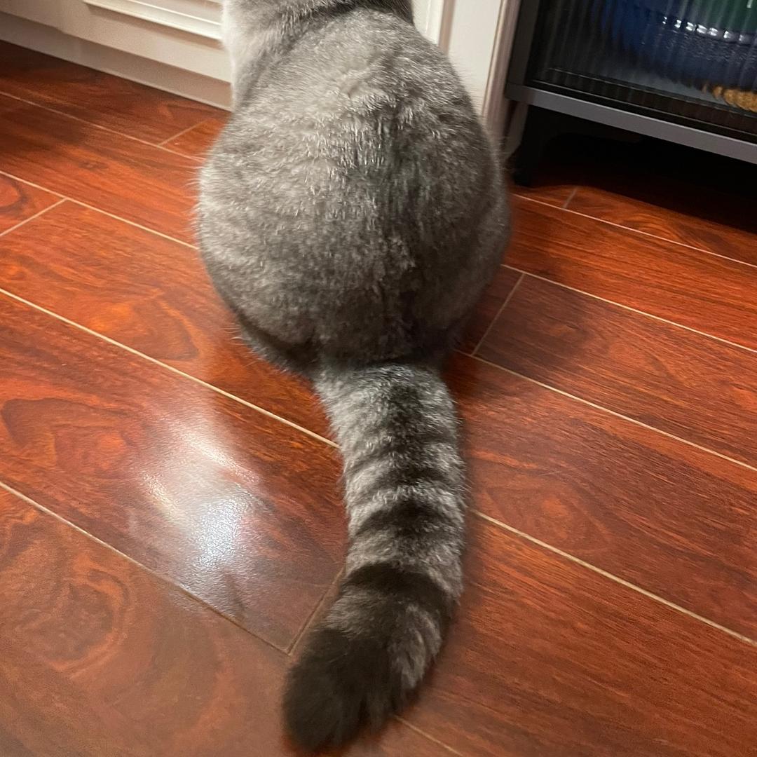 water咩了小姐姐