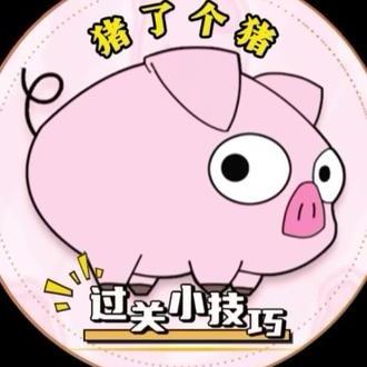 猪了个猪（首播）