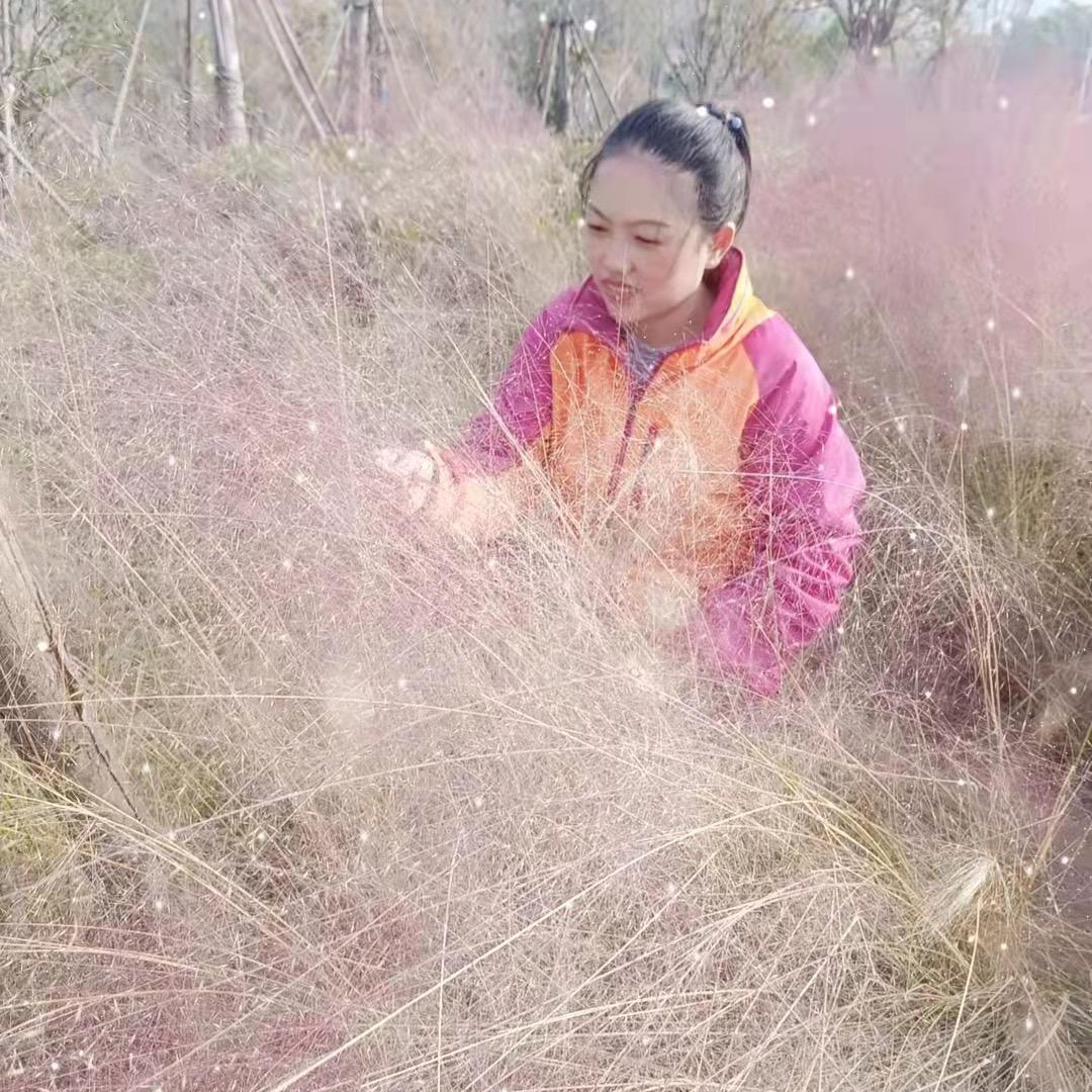 阿朋吃喝玩乐