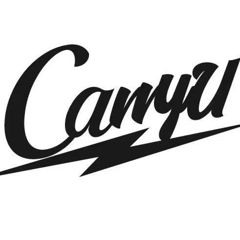 Carryu篮球