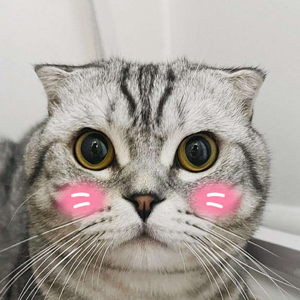 小葫芦是只喵