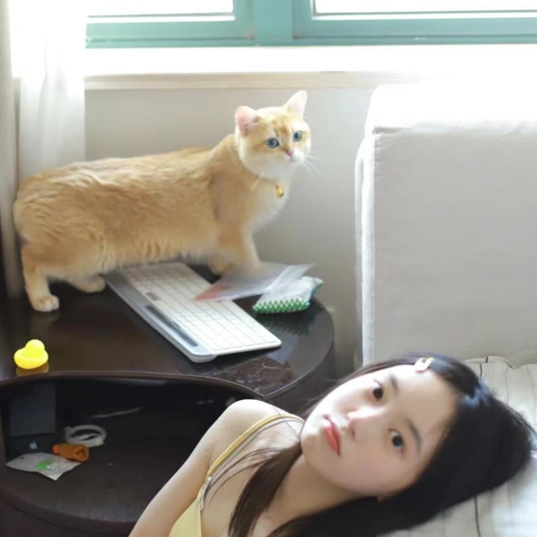 黄橙子zi
