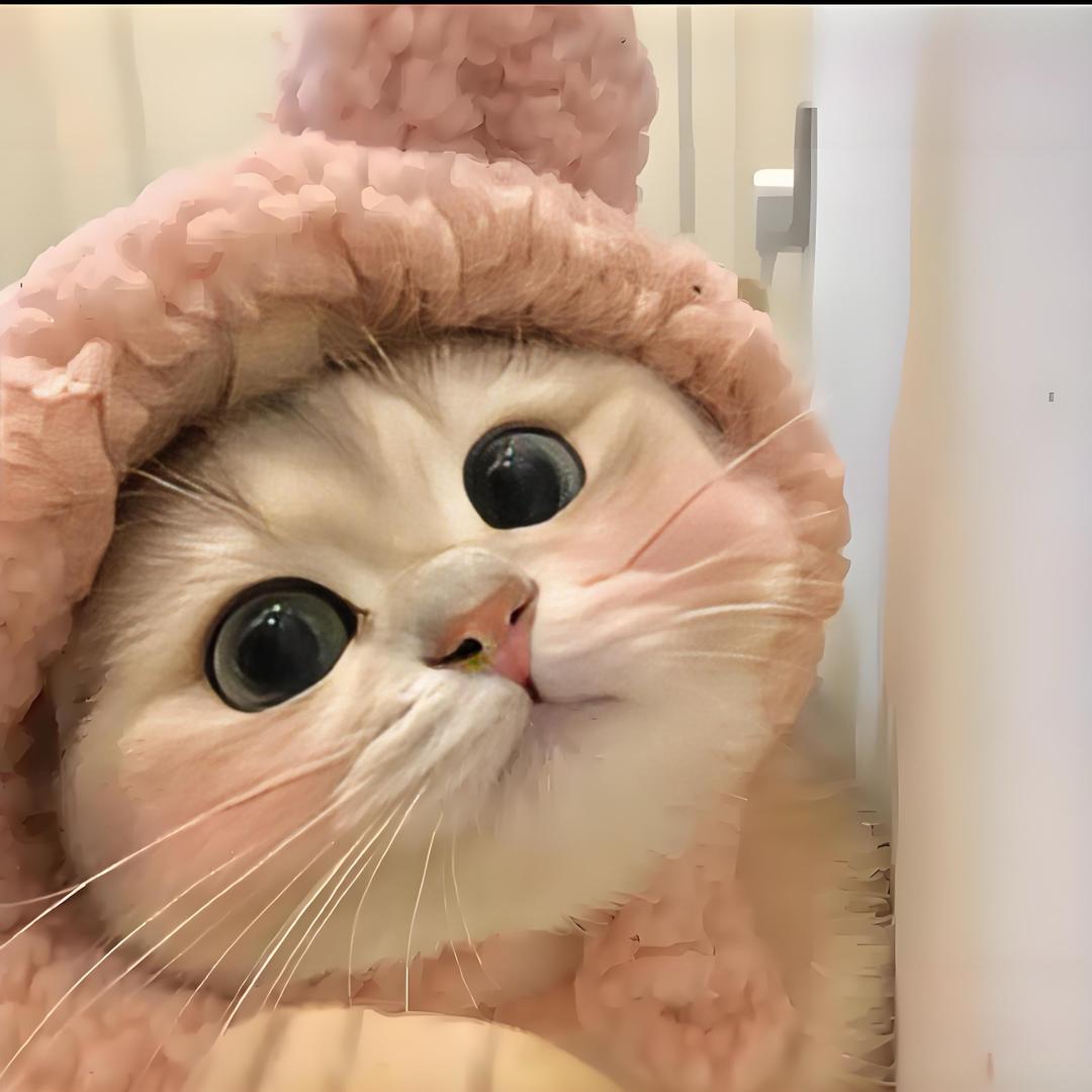 小猫也有自己的烦恼