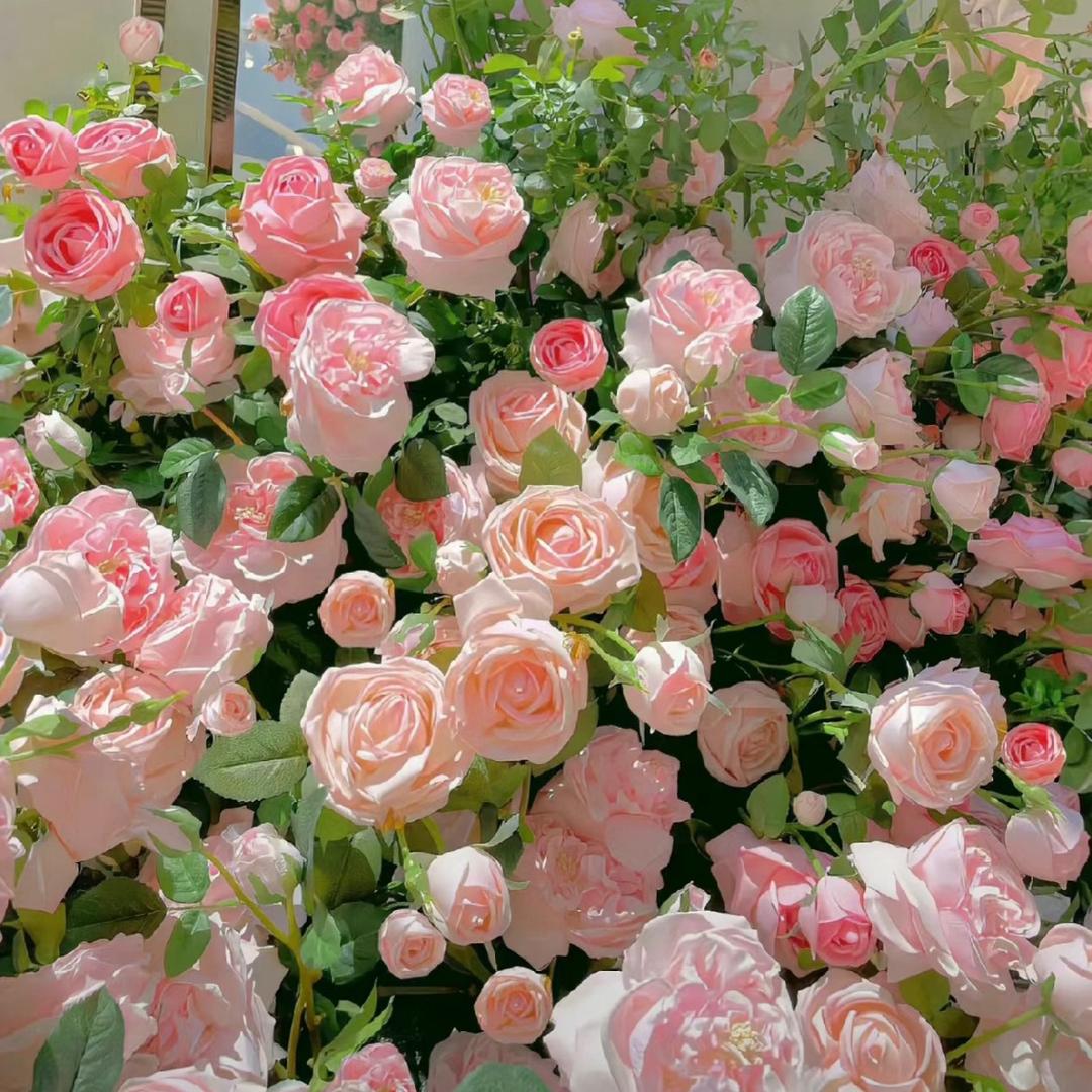 十二花卉园艺