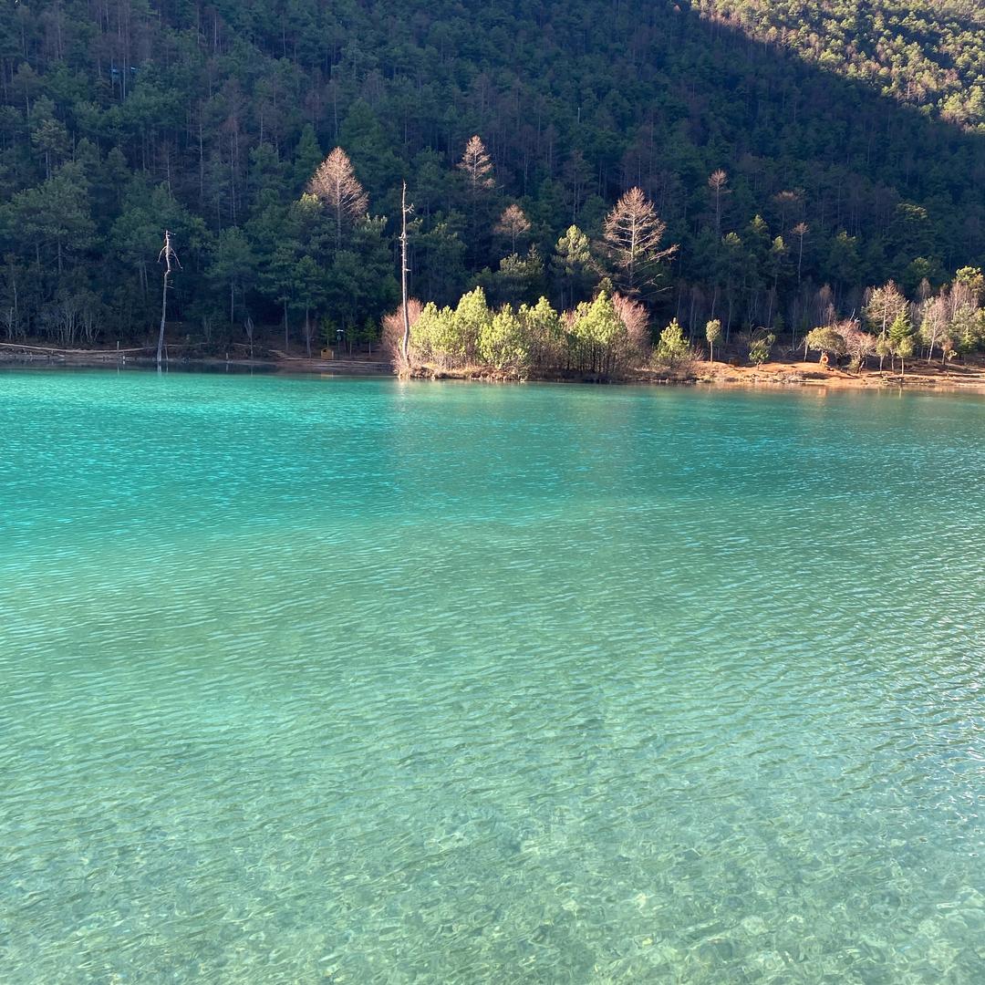 海外☀️