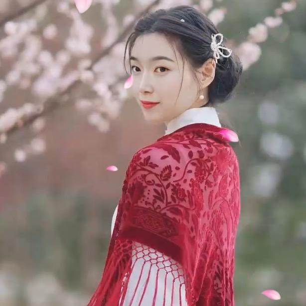 鸽子💕💕