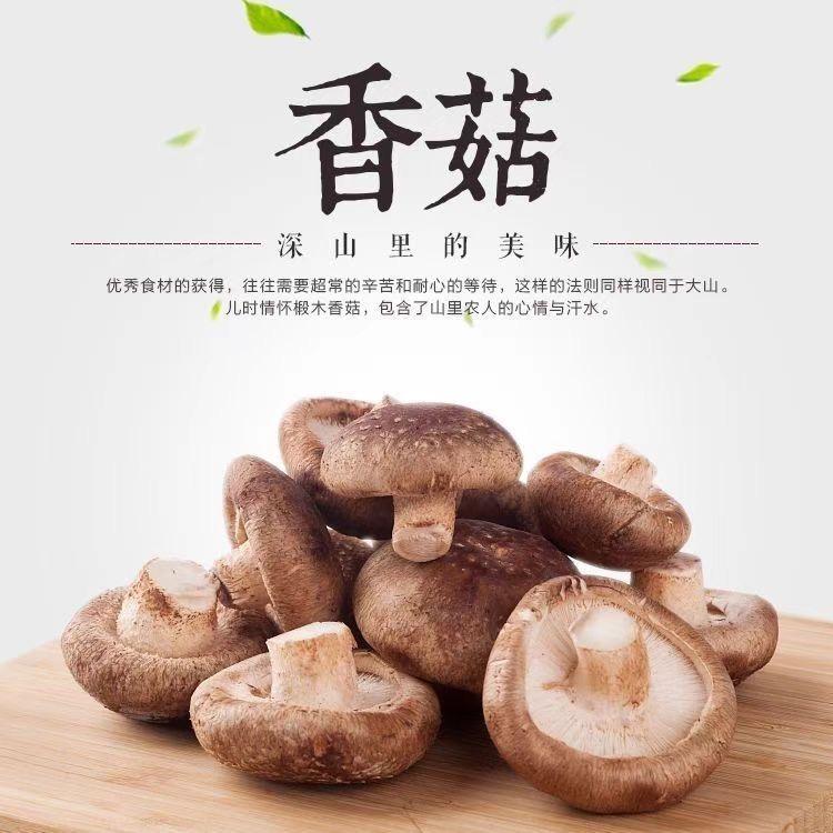 香菇工坊客服