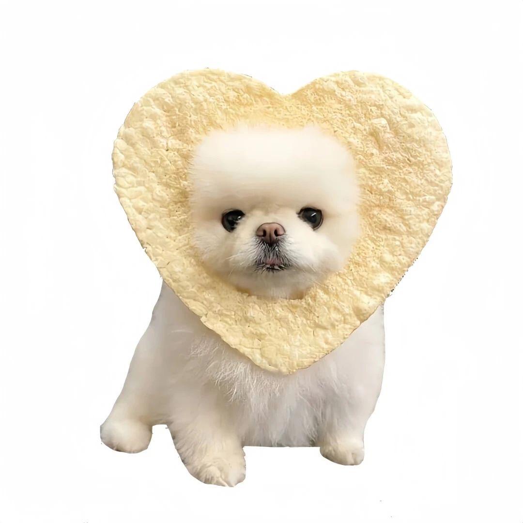 西语里的小星星⭐️