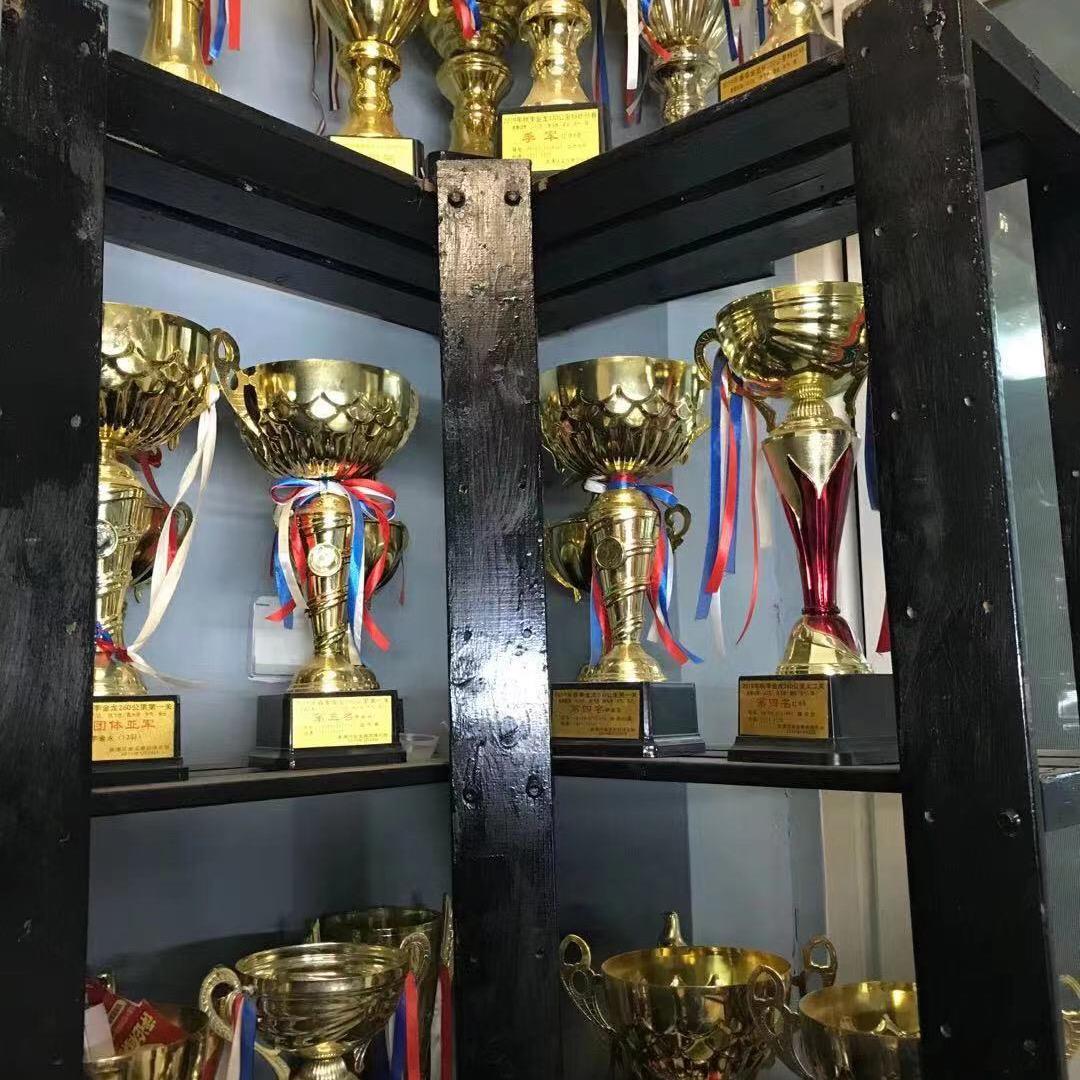 香河红牛赛鸽小号