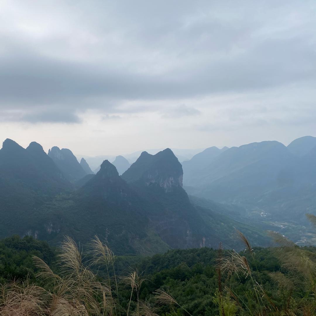 盛刚辉（招商）