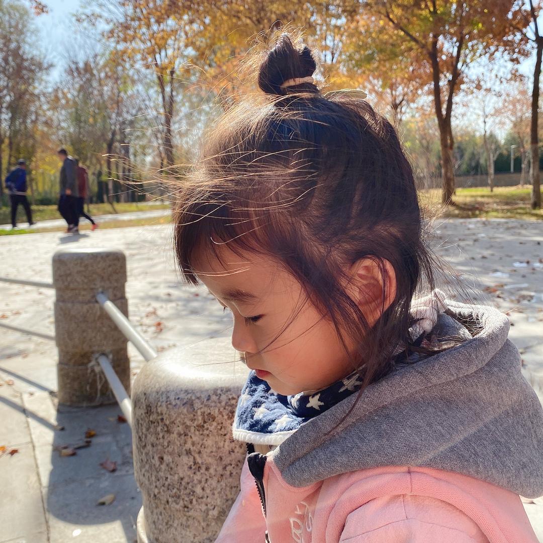 小猴小象和小兔